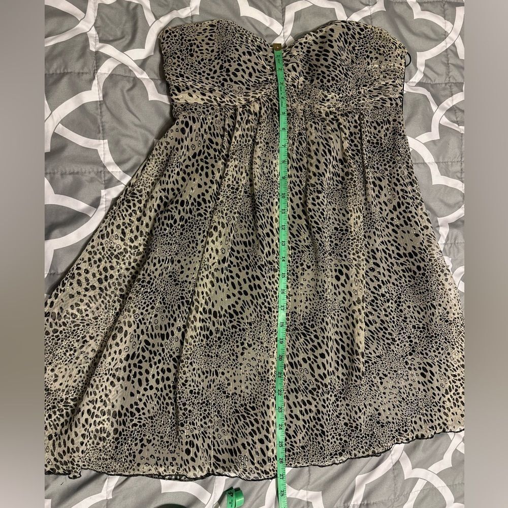 Express Dress - Picture 4 of 7